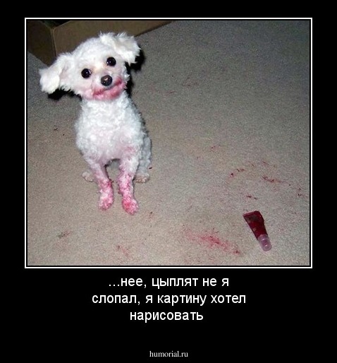 ...нее, цыплят не я слопал, я картину хотел нарисовать 