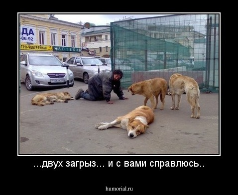 ...двух загрыз... и с вами справлюсь..