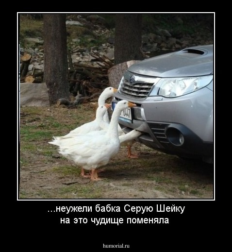 ...неужели бабка Серую Шейку на это чудище поменяла