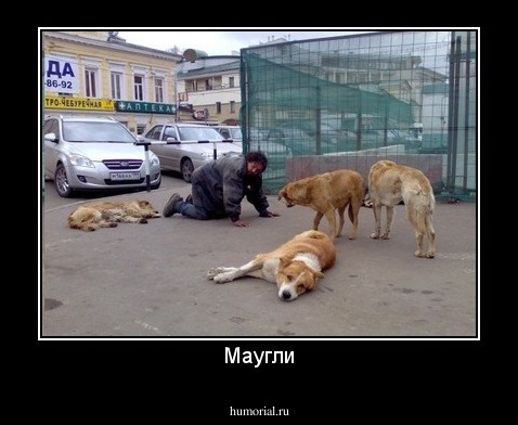 Маугли