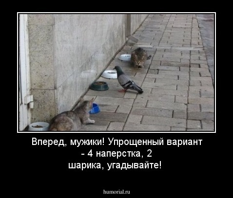 Вперед, мужики! Упрощенный вариант - 4 наперстка, 2 шарика, угадывайте!