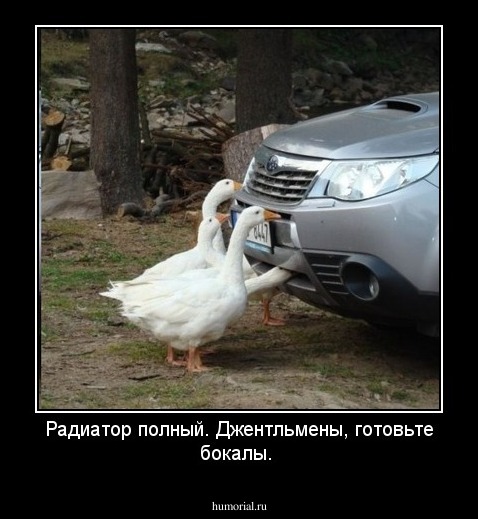 Радиатор полный. Джентльмены, готовьте бокалы. 