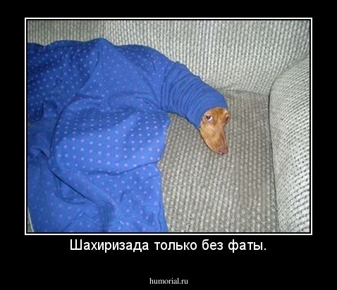 Шахиризада только без фаты.