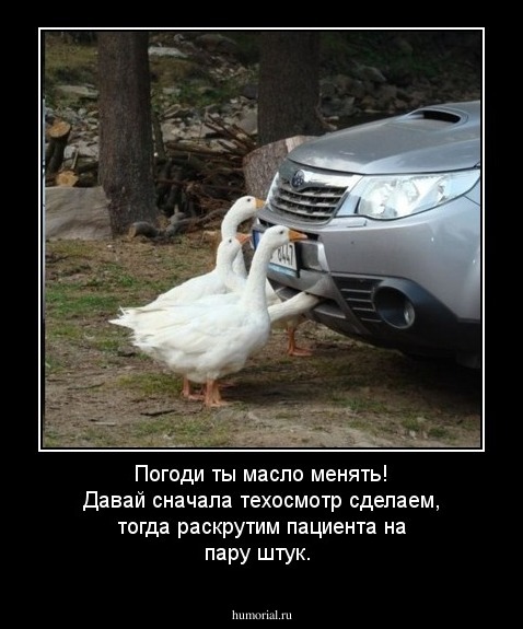 Погоди ты масло менять! Давай сначала техосмотр сделаем, тогда раскрутим пациента на пару штук.