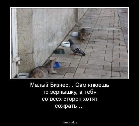 Малый Бизнес... Сам клюешь по зернышку, а тебя со всех сторон хотят сожрать...