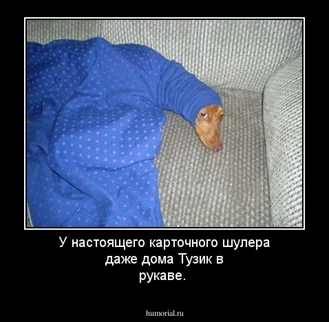 У настоящего карточного шулера даже дома Тузик в рукаве. 