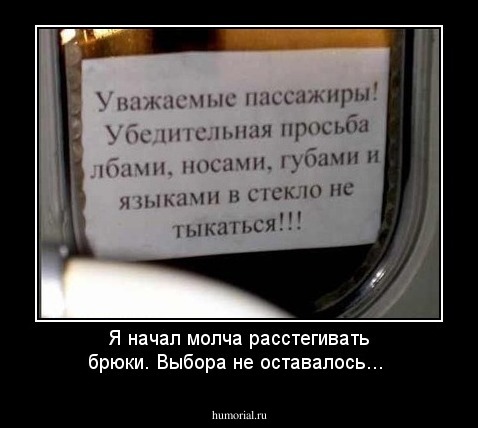 Я начал молча расстегивать брюки. Выбора не оставалось...