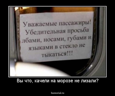 Вы что, качели на морозе не лизали?