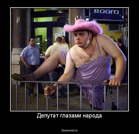 Депутат глазами народа