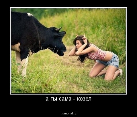 а ты сама - козел