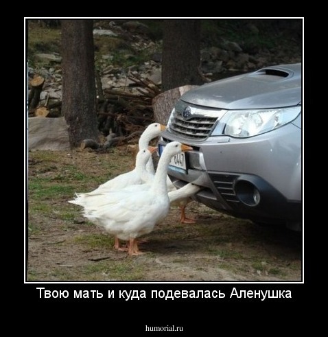 Твою мать и куда подевалась Аленушка