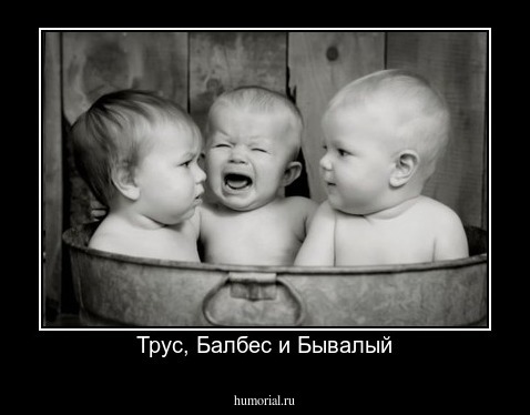 Трус, Балбес и Бывалый