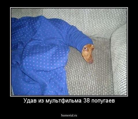 Удав из мультфильма 38 попугаев