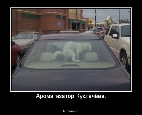 Ароматизатор Куклачёва.