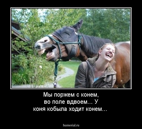 Мы поржем с конем, во поле вдвоем... У коня кобыла ходит конем...