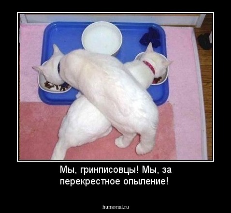 Мы, гринписовцы! Мы, за перекрестное опыление!