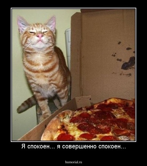 Я спокоен... я совершенно спокоен...