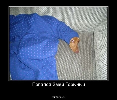 Попался,Змей Горыныч