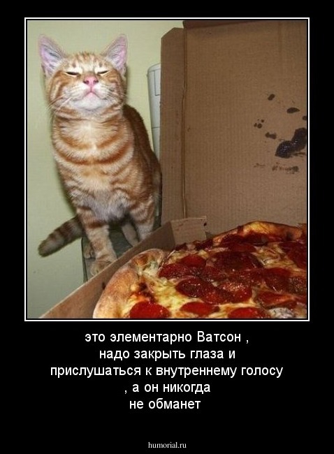 это элементарно Ватсон , надо закрыть глаза и прислушаться к внутреннему голосу , а он никогда не обманет