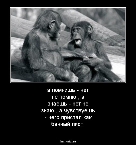 а помнишь - нет не помню , а знаешь - нет не знаю , а чувствуешь - чего пристал как банный лист
