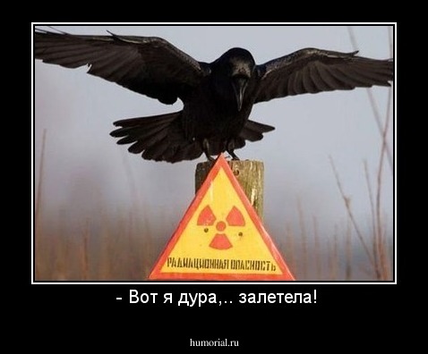  - Вот я дура,.. залетела!