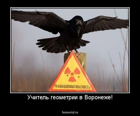 Учитель геометрии в Воронеже!