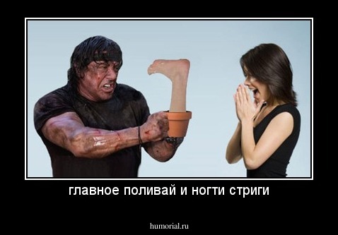 главное поливай и ногти стриги