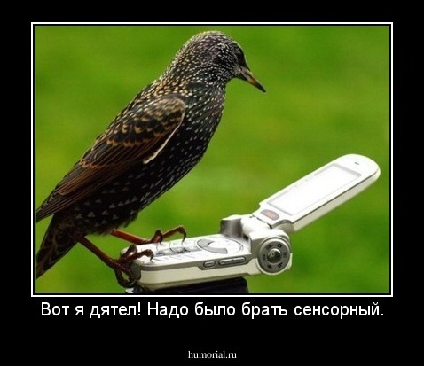 Вот я дятел! Надо было брать сенсорный.