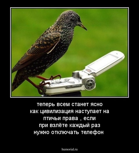 теперь всем станет ясно как цивилизация наступает на птичьи права , если при взлёте каждый раз нужно отключать телефон