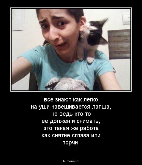 все знают как легко на уши навешивается лапша, но ведь кто то её должен и снимать, это такая же работа как снятие сглаза или порчи