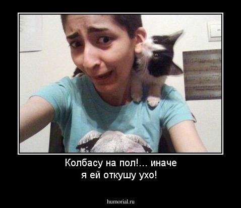 Колбасу на пол!... иначе я ей откушу ухо!