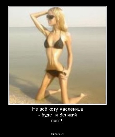 Не всё коту масленица - будет и Великий пост!