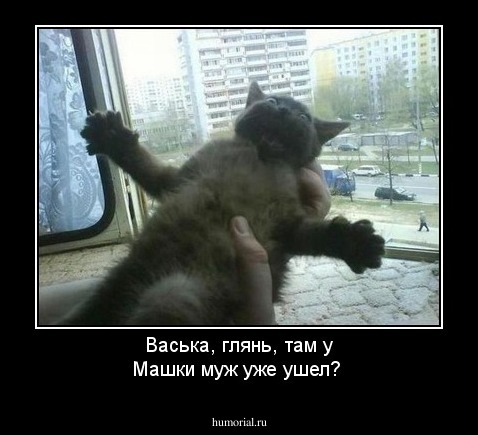 Васька, глянь, там у Машки муж уже ушел?