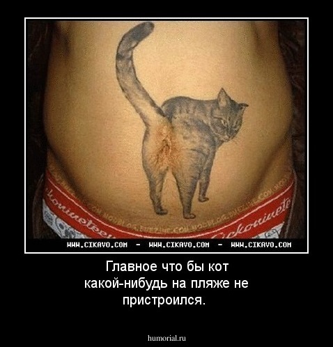 Главное что бы кот какой-нибудь на пляже не пристроился.