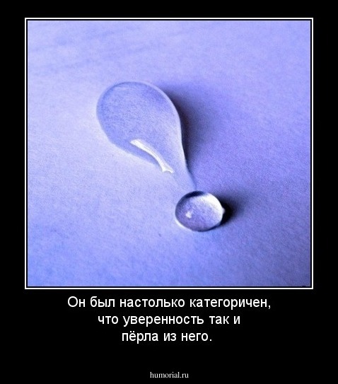 Он был настолько категоричен, что уверенность так и пёрла из него.