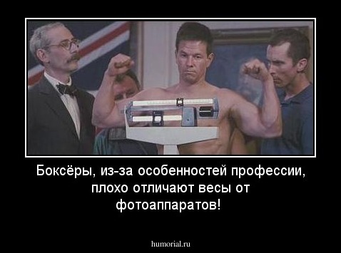 Боксёры, из-за особенностей профессии, плохо отличают весы от фотоаппаратов!