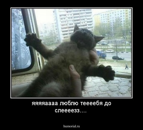 яяяяаааа люблю теееебя до слеееезз....