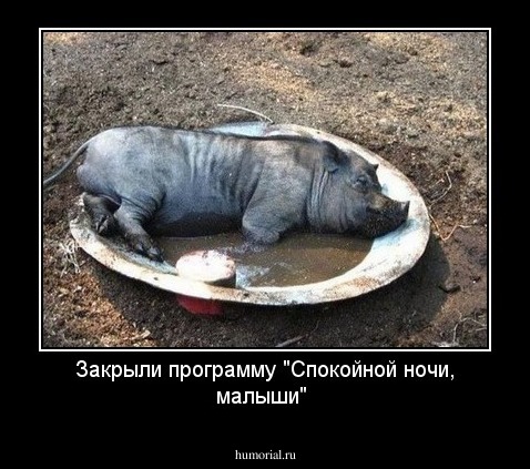 Закрыли программу "Спокойной ночи, малыши"