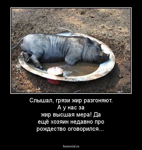 Слышал, грязи жир разгоняют. А у нас за жир высшая мера! Да ещё хозяин недавно про рождество оговорился...