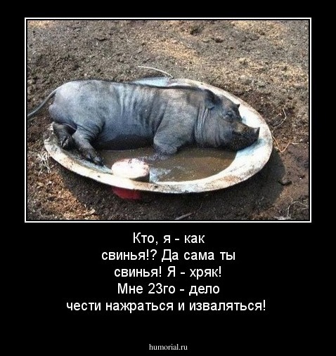 Кто, я - как свинья!? Да сама ты свинья! Я - хряк! Мне 23го - дело чести нажраться и изваляться!