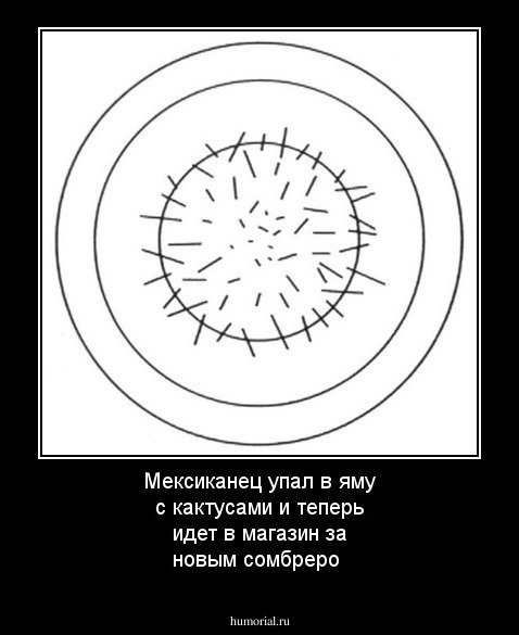 Мексиканец упал в яму с кактусами и теперь идет в магазин за новым сомбреро
