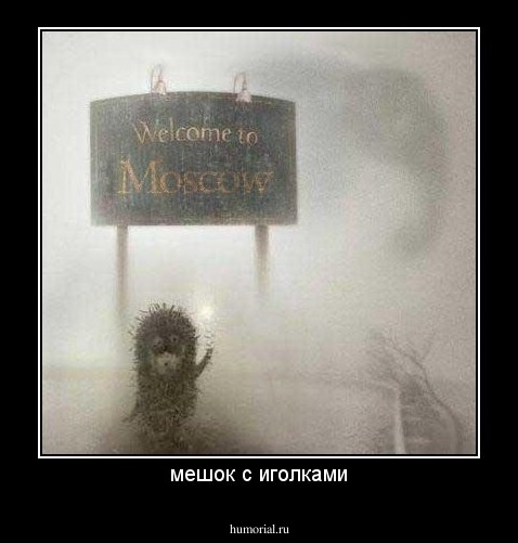 мешок с иголками