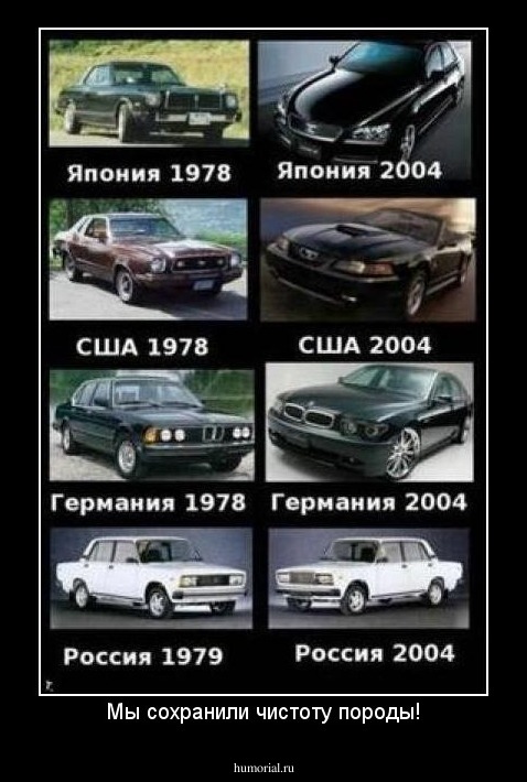 Мы сохранили чистоту породы!