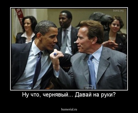 Ну что, чернявый... Давай на руки?