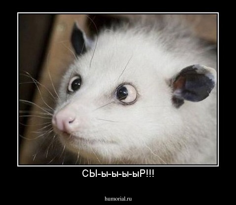 СЫ-ы-ы-ы-ыР!!!
