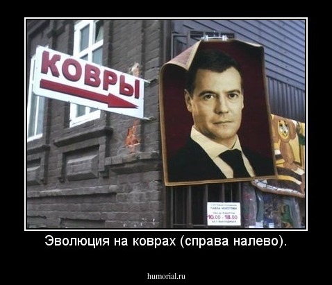 Эволюция на коврах (справа налево).