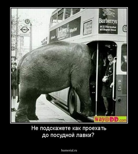 Не подскажете как проехать до посудной лавки?
