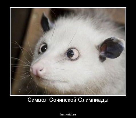 Символ Сочинской Олимпиады