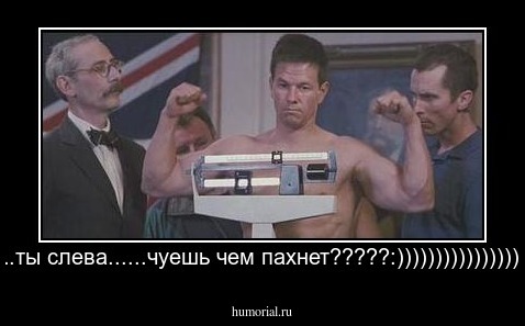 Эй...ты слева......чуешь чем пахнет?????:))))))))))))))))))))