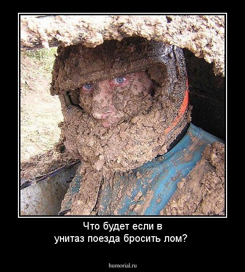 Что будет если в унитаз поезда бросить лом?